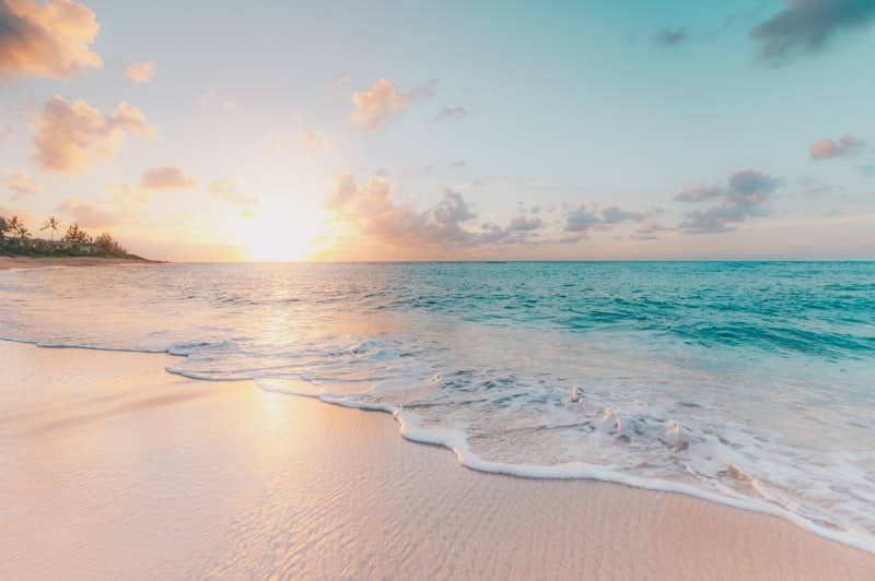 Palm-lined tropical beach