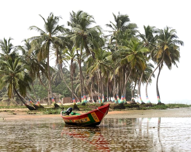 Palm-lined beach with a colourful fishing boat in Ghana